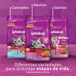 Copia de Whiskas Gato Sabor Carne 10kg-1761842500156