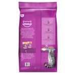 Copia de Whiskas Gato Adulto Carne 20kg-1761842575397