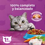 Copia de Whiskas Gato Adulto Carne 20kg-1761842758070