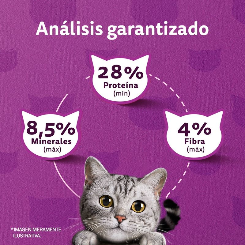 Copia de Whiskas Gato Adulto Carne 20kg-1761842767685